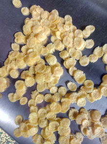 供應(yīng)谷物膨化新利器 2mm-50mm圓球膨化機批發(fā)銷售全解析