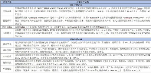 2021年藥用膠塞項(xiàng)目投資分析報(bào)告 實(shí)業(yè)投資視角下的機(jī)遇與風(fēng)險(xiǎn)評(píng)估